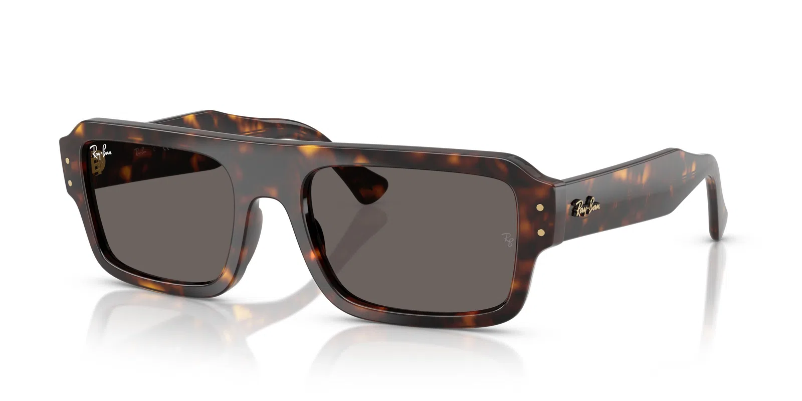 Ray-Ban Lukas 4454F Sunglasses - view 19